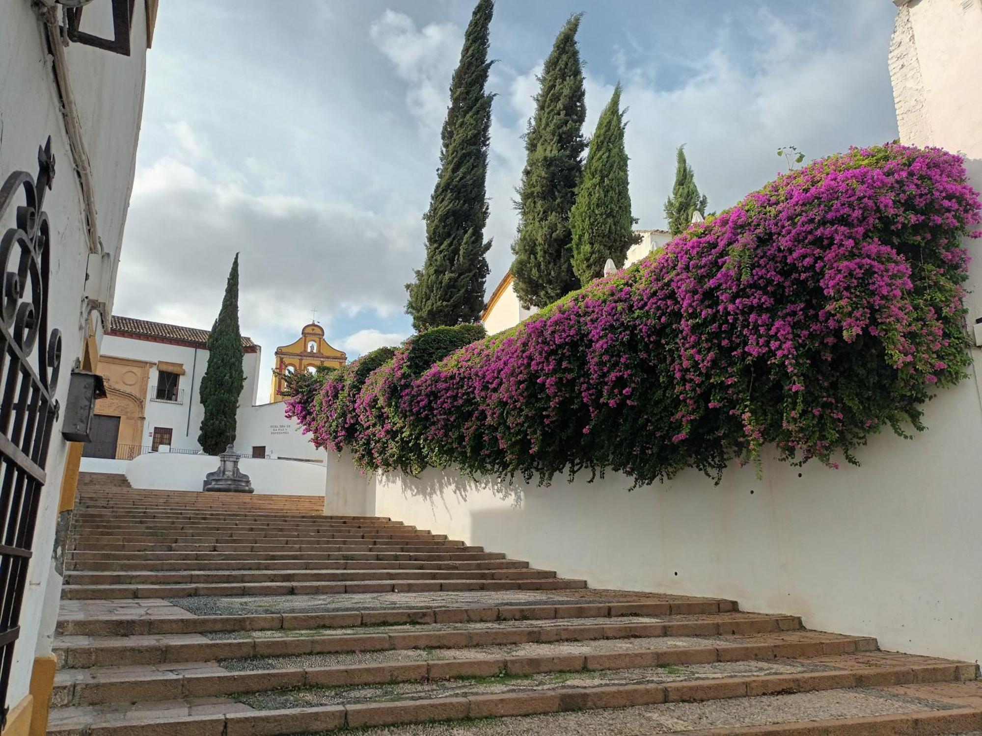 Апартаменты Casa San Mateo Кордова Экстерьер фото